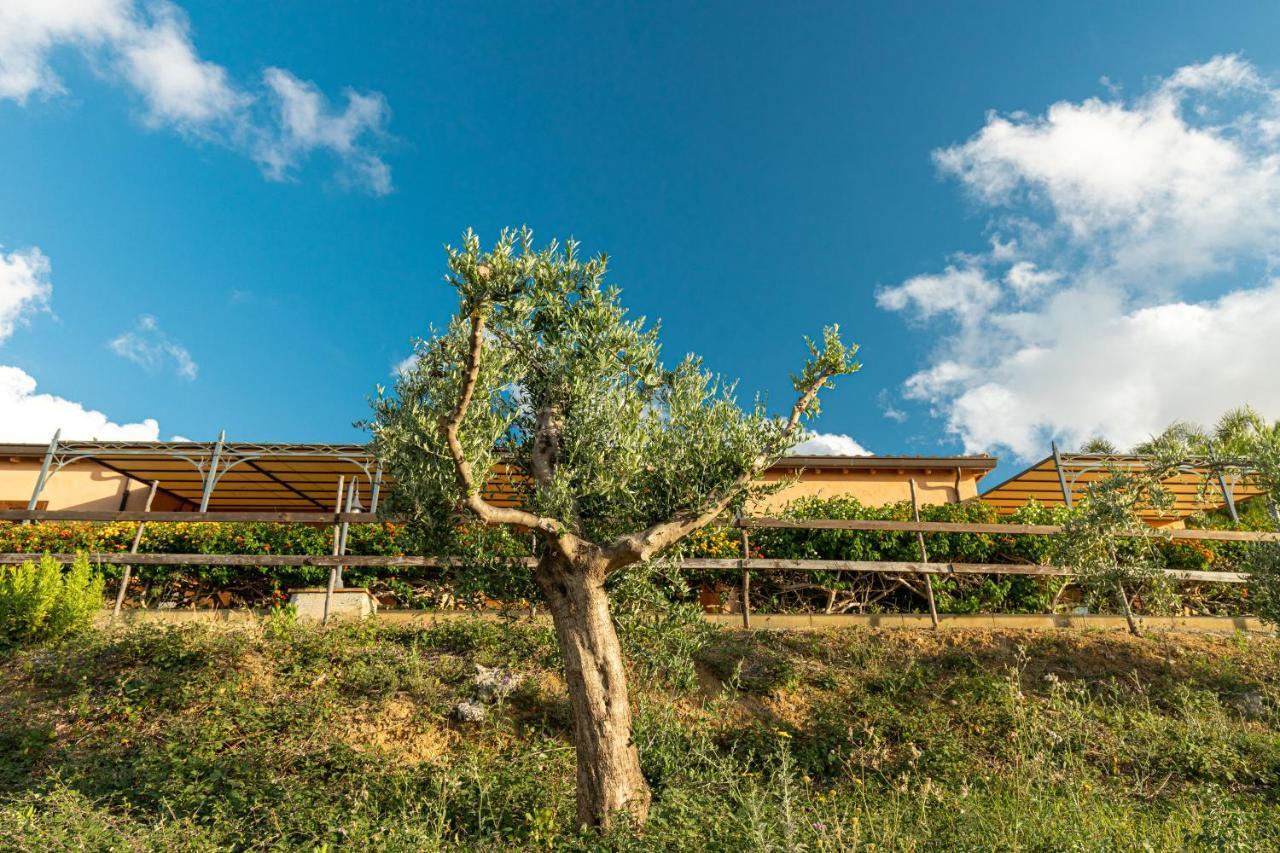 Solemar Sicilia - Le Casette Di Calzata Campofelice Di Roccella Eksteriør billede