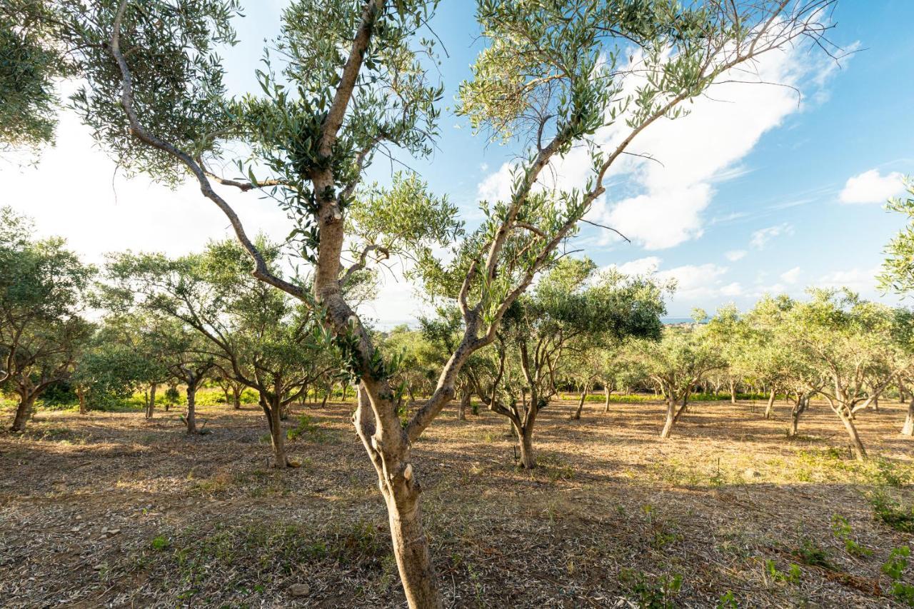 Solemar Sicilia - Le Casette Di Calzata Campofelice Di Roccella Eksteriør billede